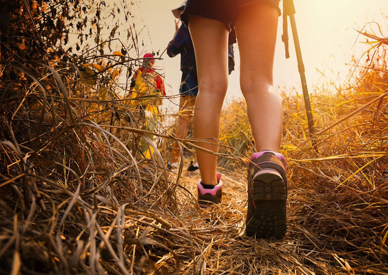 Printemps en Vendée