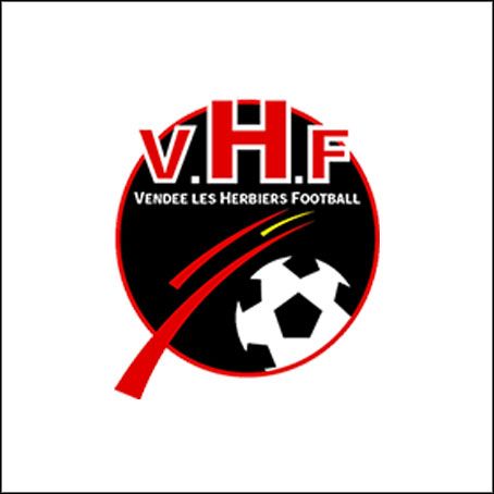 logo vhf
