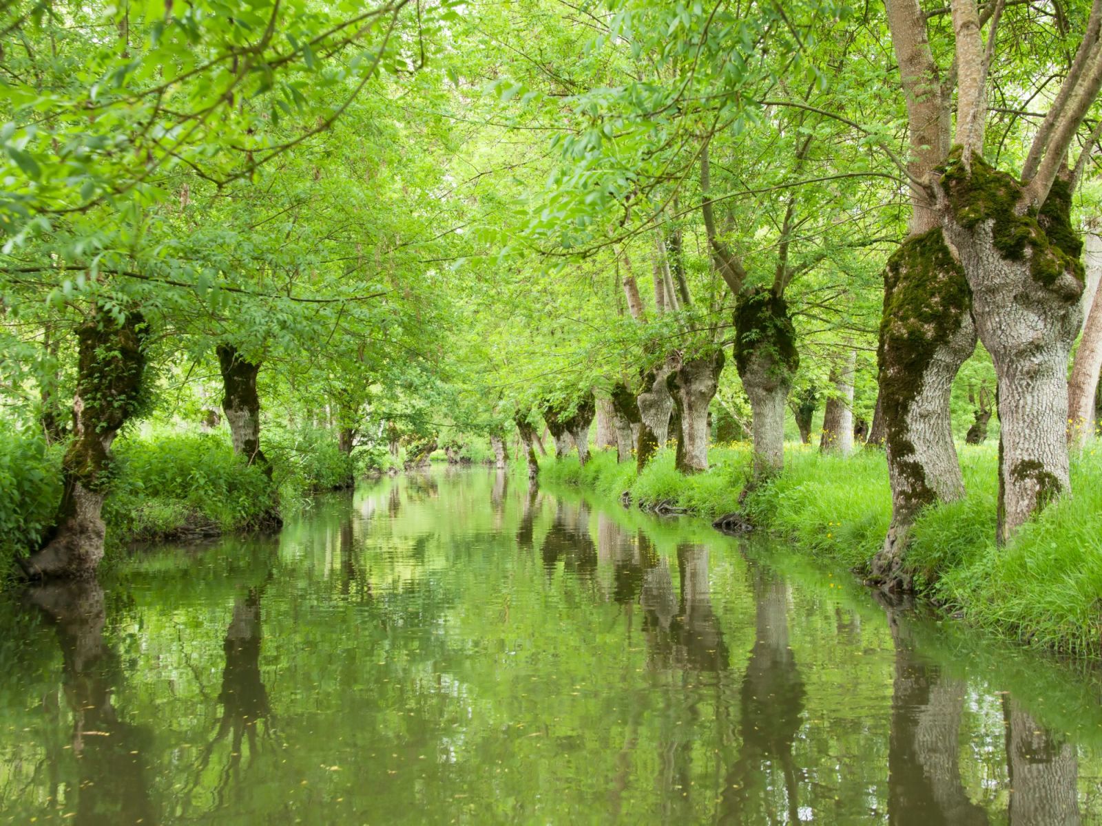 Patrimoine et Traditions en Février 2026