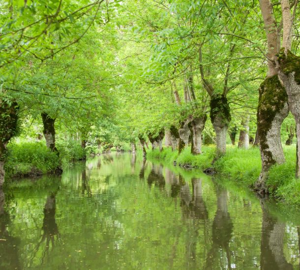 Patrimoine et Traditions en Février 2026