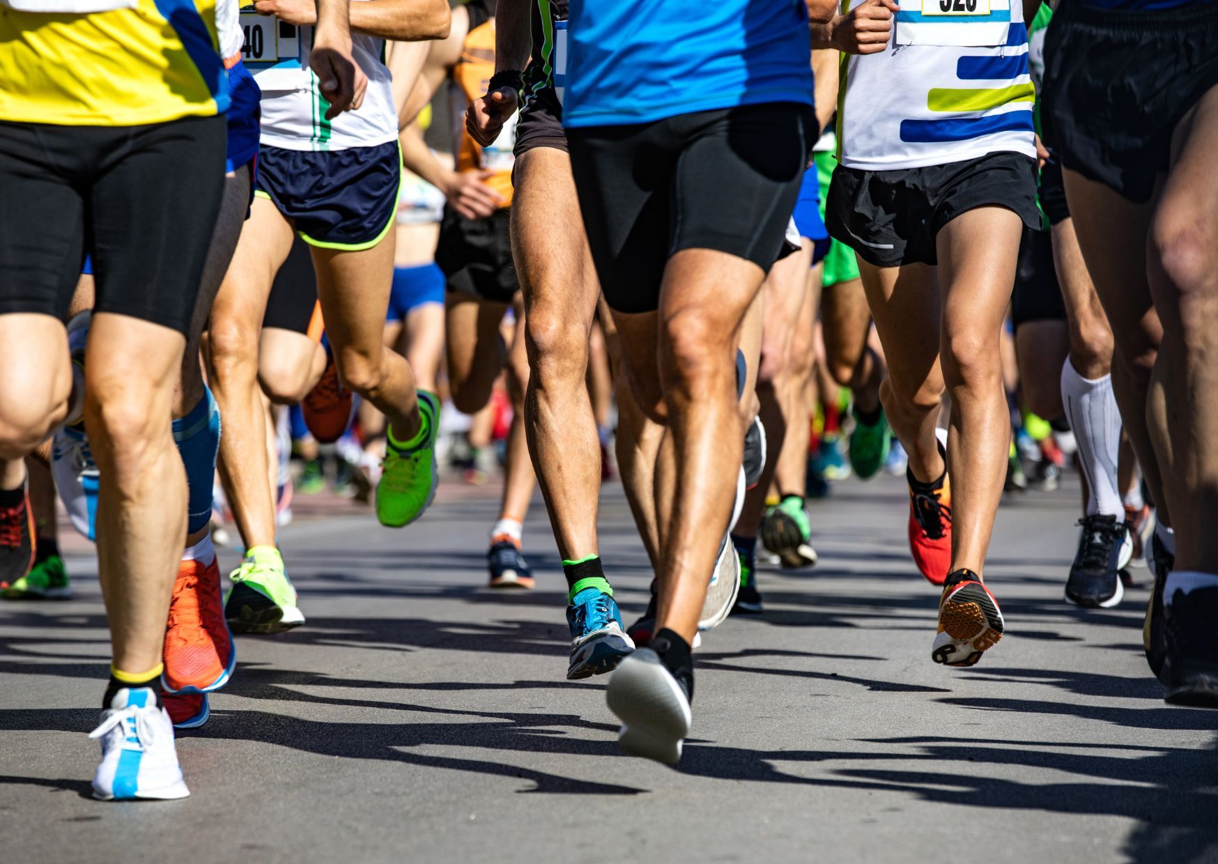 Les 10 km des Herbiers