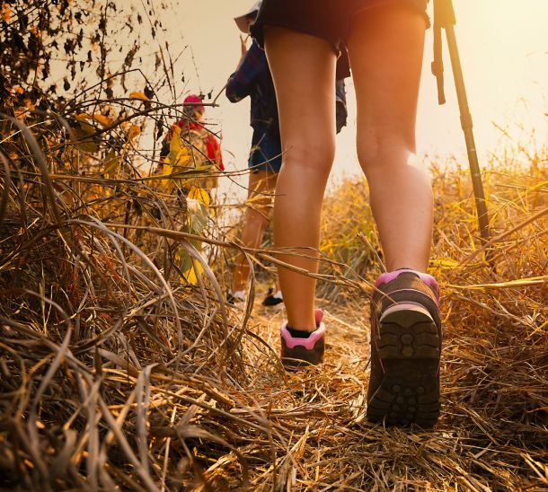 Printemps en Vendée
