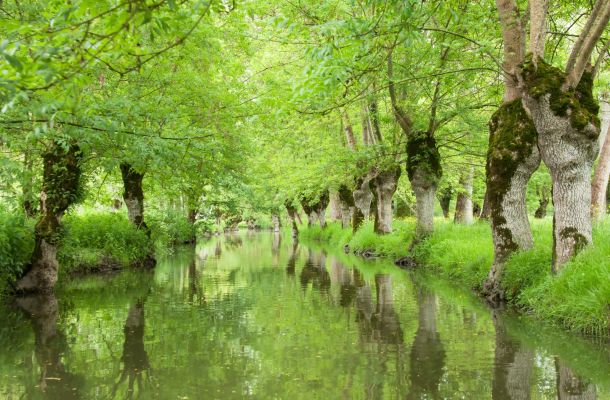 Patrimoine et Traditions en Février 2026