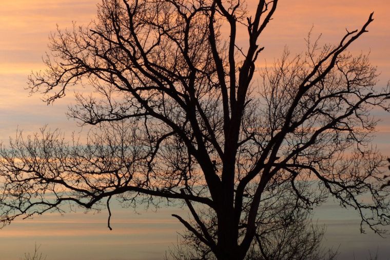 équipe hôtel Ibis Maisons Laffitte